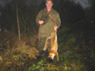 Trzeciego lisa strzelił prowadzący polowanie