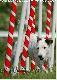 Chyba P�ock ;) 2006
- FUNT Mysia Zag�ada-
 *fot.Orvikki