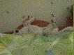 Fulll relaks..............