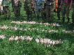 Okaza�y kaczy pokot:)
