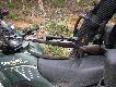 Moj Sauer 90 w 9.3x64, nawet nie byl na nic namierzony.
A to taki fajny kaliber :(((