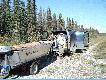 w drodze na p�noc, 2500 km od Toronto , na �osia i nied�wiedzia