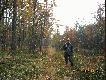 I po miocie. Komary da�y nam tu w ko�� (jesie�). Ostoja �osi (widziane 5 sztuk)