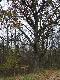 Te d�by wiele widzia�y i s�ysza�y...