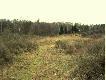 Widok z �owiska. Oddz.210.