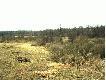 Widok z �owiska. Bagna 0ddz.222.