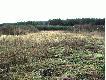 Widok z �owiska. ��ki Oddz.222.