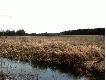Widok z �owiska. ��ki nad rzek� We�n�.