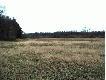 Widok z �owiska. ��ki nad rzek� We�n�.
