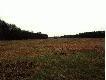 Widok z �owiska. ��ki nad rzek� We�n�.