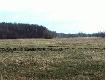 Widok z �owiska. ��ki nad rzek� We�n�.