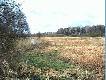 Widok z �owiska. ��ki nad rzek� We�n�.