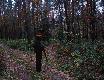 stanowisko na naro�niku ale lis wyszedl trzy stanowiska dalej :)