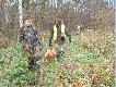 Trzeci miot:
3-jelenie (2-byki i �ania), 4-lisy.