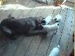 Zjadamy wy��a :))