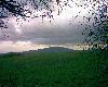 trzeba dok�adnie wypatrywa� ...