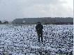 �owczy Jerzy na tle pola pokrytego pierwszym �niegiem.