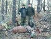 Kolega Waldek  po udanym rannym wyjsciu na Byka , ja niestety tylko w roli Kibica  i pomocnika
Wiek Byka wstepnie ocenilismy na 8 lat , waga 130 kg  Kolego Waldemarze !!! Darz Bor 