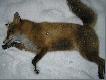 �usk� zaznaczy�em wlot kuli.