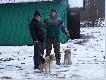 Naganiacze i m�j boks i jego syn foks.Boks w tym polowaniu zagino� w pierwszym miocie niema go do dzisiaj.