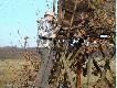 Wies�aw lubi rozwi�zywa� skomplikowane w�z�y...