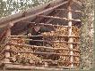 Zrzucam snop�wk� do koryta