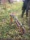 A tu por�wnanie