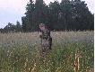 Wi�kszego wyboru nie by�o, wi�c �ona musia�a zadowoli� si� bukietem z chabr�w i mak�w.