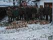Efekt polowania w 20 strzelb, 8 miot�w 40 szarak�w. Dwa lata temu pokot liczy� 34 szt. Mo�na wywnioskowa�, �e wzrasta pog�owie zajc�w.