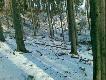 a stamt�d przybieg� pojedynczy, i zosta� w ogniu tak jak wida� na zdj�ciu...