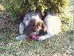 czy z t� frotk� b�dzie mi do twarzy?
