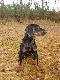 Czerta. Darz B�r. Wilku