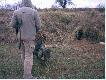 Coraz wi�cej lis�w to coraz wi�kszy problem. Ta nora niedawno by�a wypalana. 