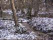 Pi�kna, kr�ta rzeczka Brze�nicka W�gorza z jednym z wielu ma�ych dop�yw�w...