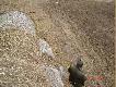 Kol.Adam i jego lis.Darz B�r