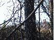 s�upy graniczne w kwaszeninie