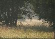 Zamglona ��ka o poranku, a w oddali ucieka rogacz. Ju� nie mog� si� doczeka� lata. Darz B�r 