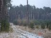 Oczekiwanie na zwierzyn� 