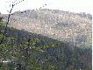 Teren po walce cz�owieka z kornikiem, niestety u nas teraz to coarz cz�strzy widok, niebawem wszyskie nasze stoki tak b�d� wygl�da�