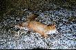 19.03.2008- ten �adniejszy...