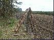 Tak wygl�da brama na poletko z drzewkami