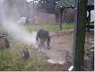Mirek walczy przy uk�adaniu p�ytek