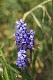 W r�nych kolorach . . .