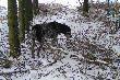 w st�jce przy kurze ba�anta