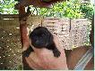 Je�eli s� ch�tni to m�j telefon-696425475