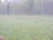 �uraw w drodze na n�cisko