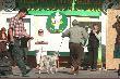 Wystawa ps�w ras my�liwskich