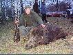 Borek 2007
Odyniec pozyskany na polowaniu zbiorowym (go�cinnie), waga 150 kg, or� br�zowy medal  