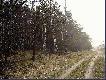 Uwaga!!! Ogl�dacie na w�asne ryzyko!! Materia� mocno wzruszaj�cy... jak twierdz� niekt�rzy ;)