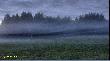 Jeszcze troch� mgie�ki . . .